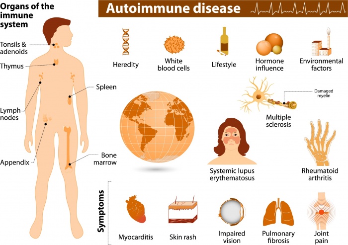 New Way To Manipulate Immune Cells May Treat Cancer, Autoimmune Disease