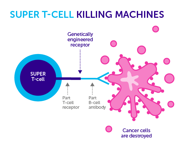 New Way To Manipulate Immune Cells May Treat Cancer, Autoimmune Disease