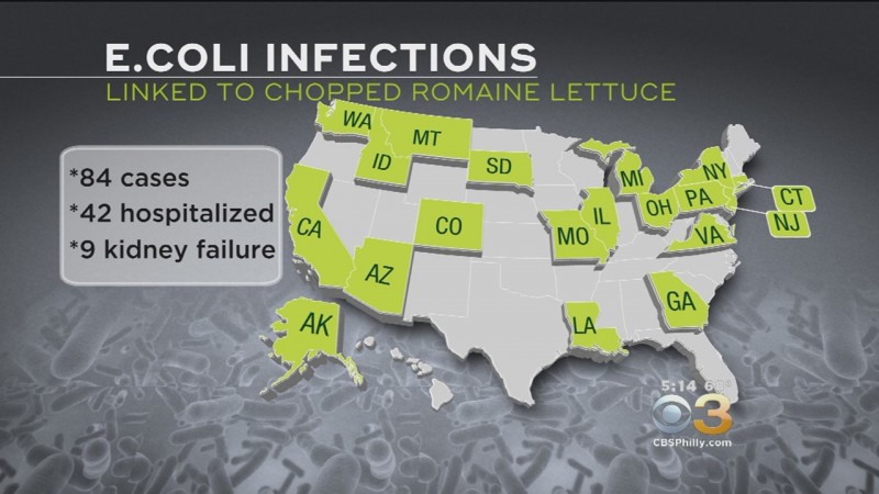 Romaine Lettuce From California Linked To Multistate E. Coli Outbreak