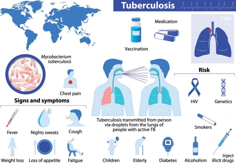 What Is Tuberculosis?