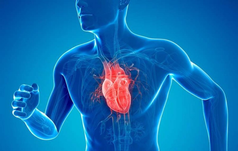 What You Can Do to Prevent a Heart Attack