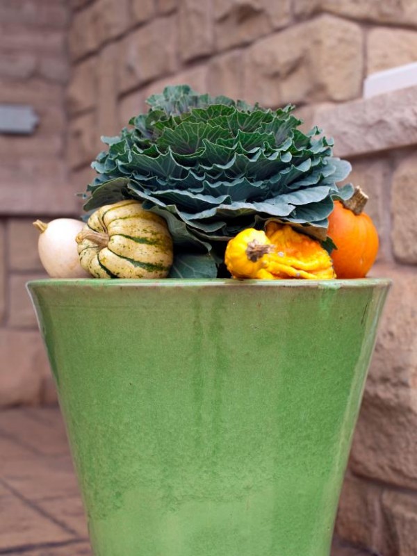 10 Easy Essentials for Outdoor Fall Decorating