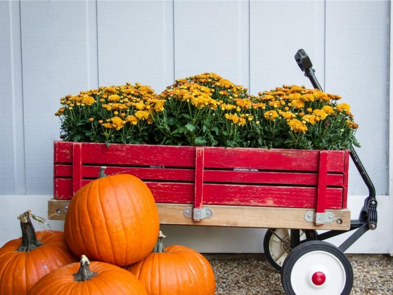 10 Easy Essentials for Outdoor Fall Decorating