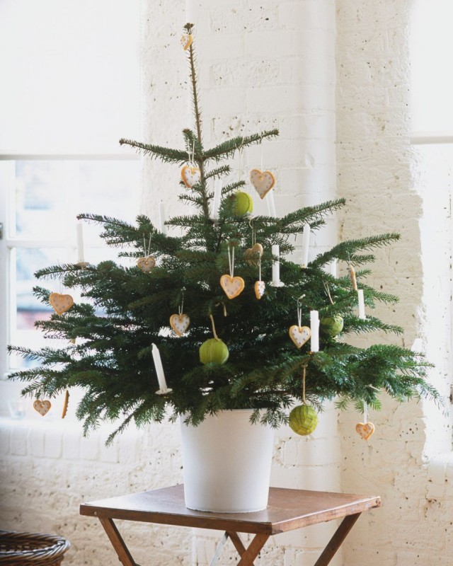 10 Ideas To Pull Off A Gorgeous Themed Christmas Tree