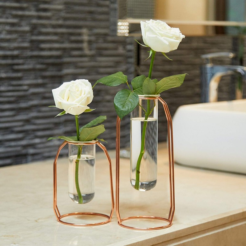 PuTwo Vases Set of 2 Metal Flower Planter Terrariums Plant Glass Cylinder Clear Decorations for Living Room, Rose Gold 