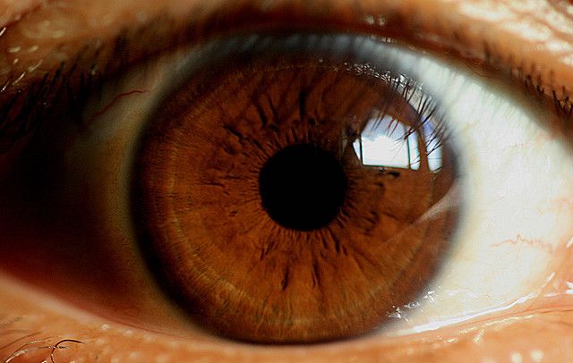 Makeup Tips For Brown Eyes