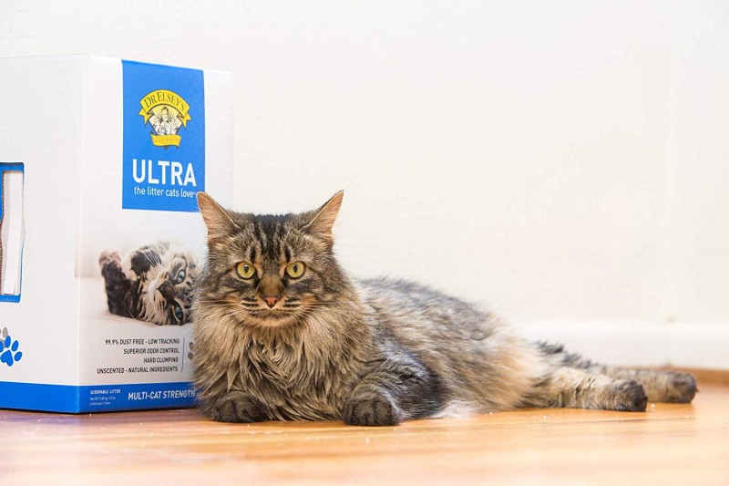Dr. Elsey's Cat Ultra Premium Clumping Cat Litter