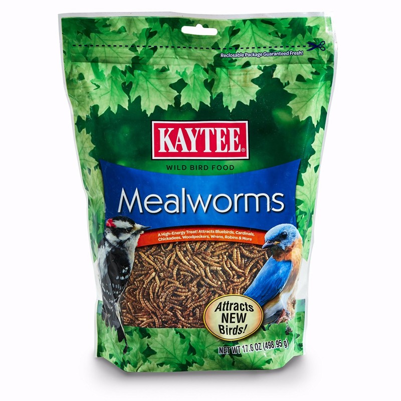 Kaytee Mealworms