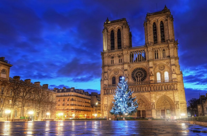 Notre Dame & Christmas Market Small Group Walking Tour