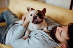Are Dogs Good for Human Health?