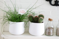 DIY Speak Bubbles For Your Plants