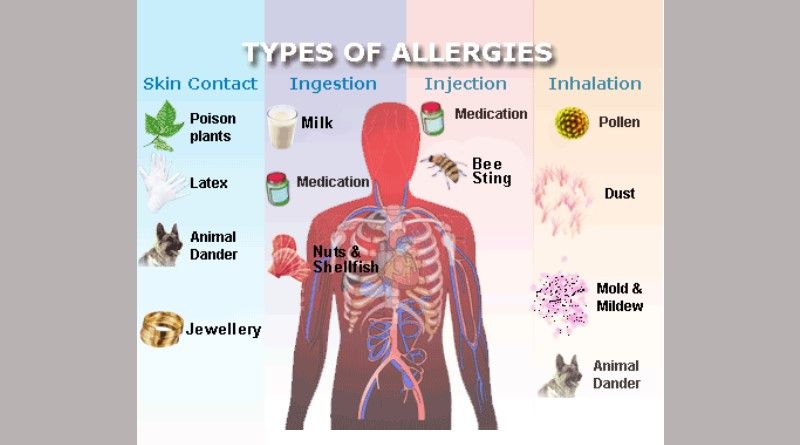 New Allergy Vaccine For Hay Fever Shows Promising Results