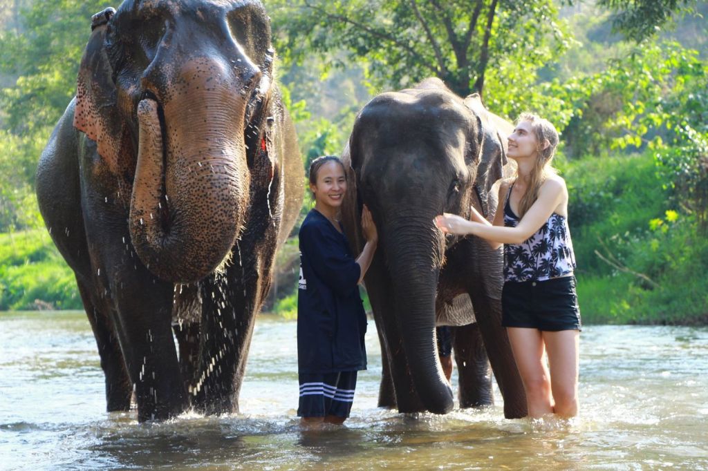 Chiang Mai Elephant Sanctuary Small Group Ethical Tour