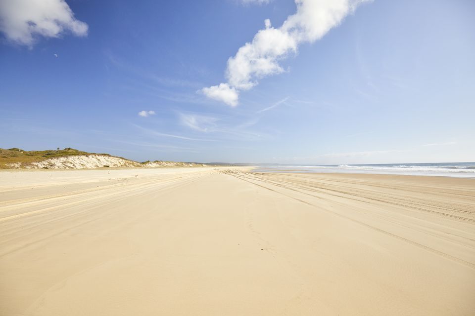 From Hervey Bay: Fraser Island Full-Day Coach Tour