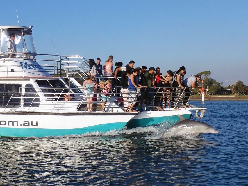 Mandurah 1-Hour Dolphin and Scenic Canal Cruise
