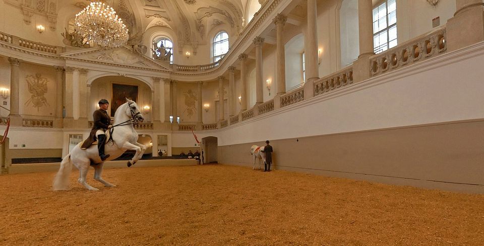 Vienna: Spanish Riding School Morning Exercise