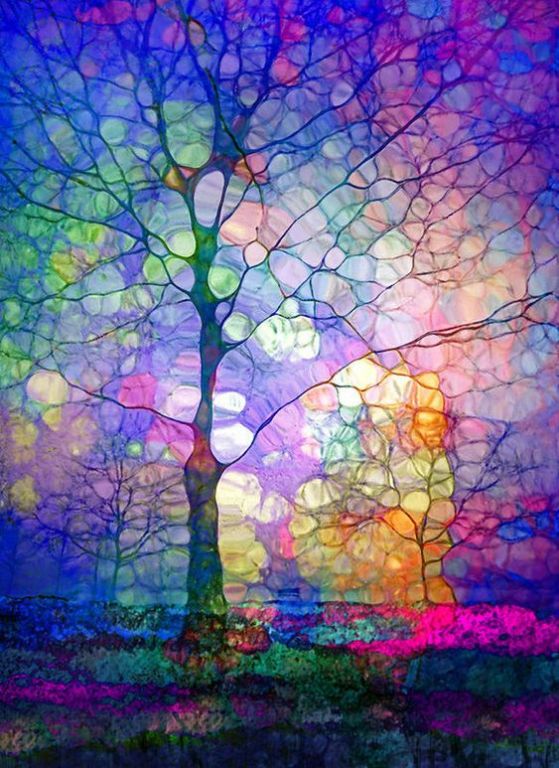 The Imagination Of Trees Art Print By Tara Turner