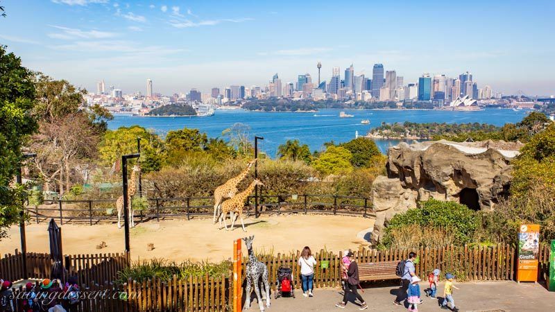 Taronga Zoo Sydney Tickets