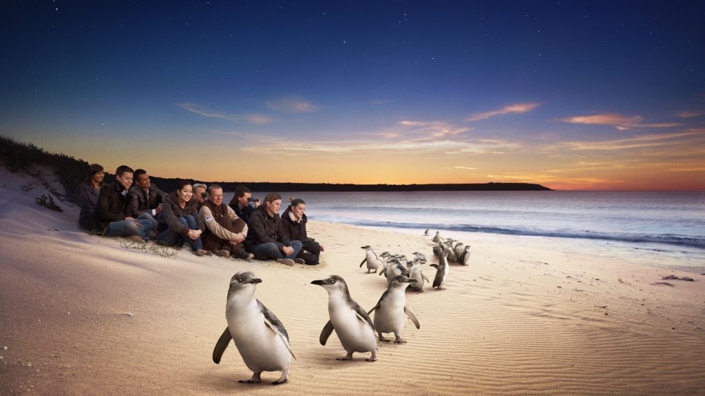 Phillip Island: 4 Parks Pass Including Penguin Parade