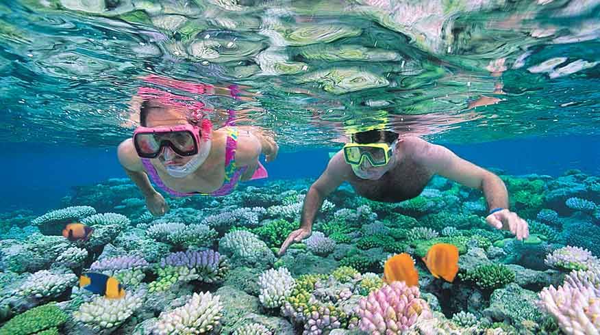 Quicksilver Outer Barrier Reef Full-Day Cruise
