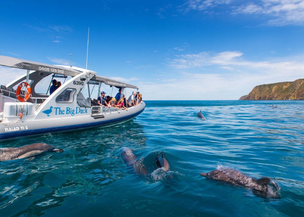 Seal Island Cruise from Victor Harbor