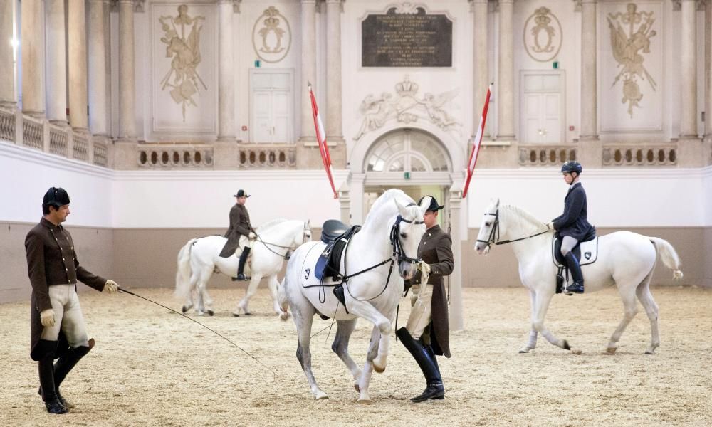 spanish riding school tour