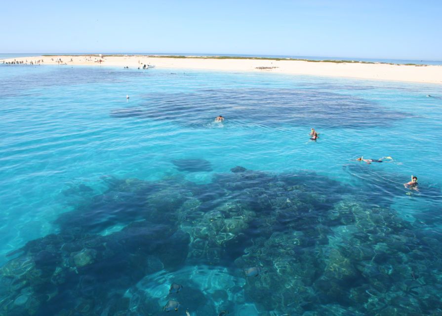 Premium Reef and Coral Cay Cruise at High Speed from Cairns