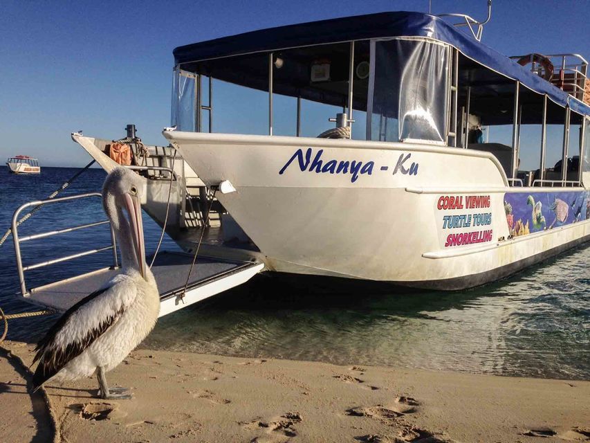 Coral Bay Glass-Bottom Boat Tour