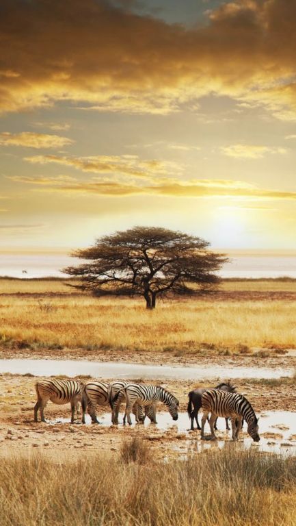 6 African National Parks To Visit Before You Die