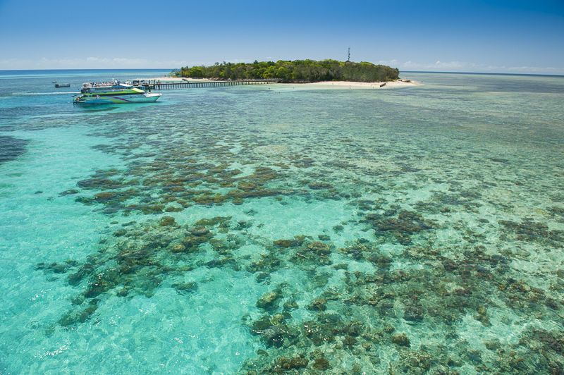 Green Island Reef Catamaran Cruise from Cairns