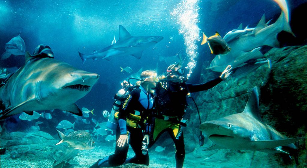 Sea Life Sydney Aquarium