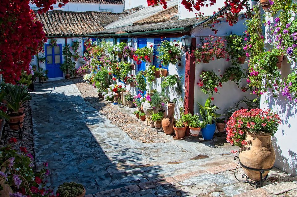 Patios of Cordoba Walking Tour