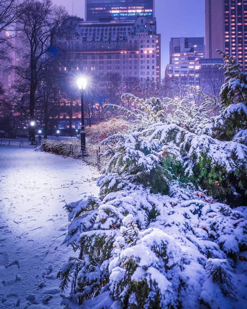 Central Park, New York, USA