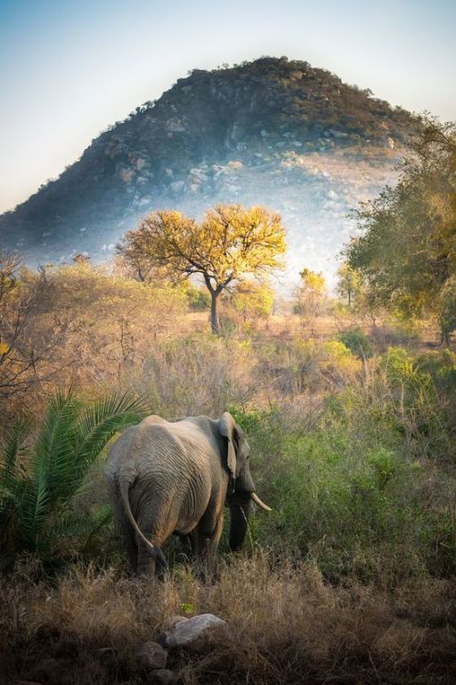 6 African National Parks To Visit Before You Die