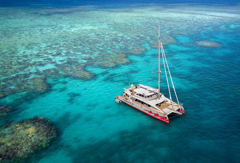 cairns great barrier reef tours catamaran