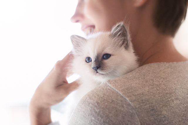 Do Cats Only Love Us Because We Feed Them?