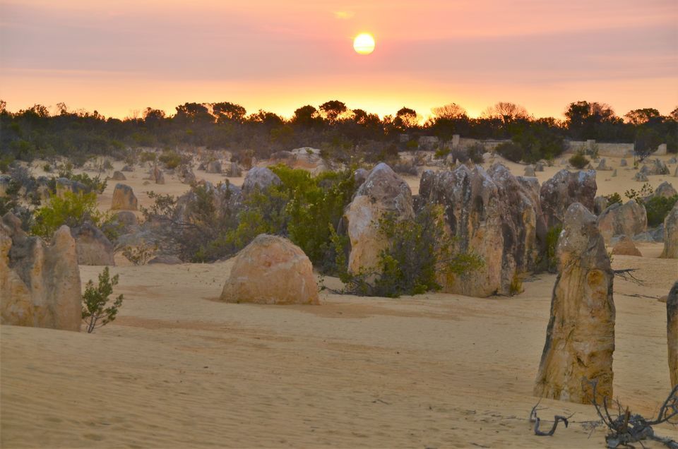 From Perth: Pinnacles Desert Sunset & Star-Gazing Tour