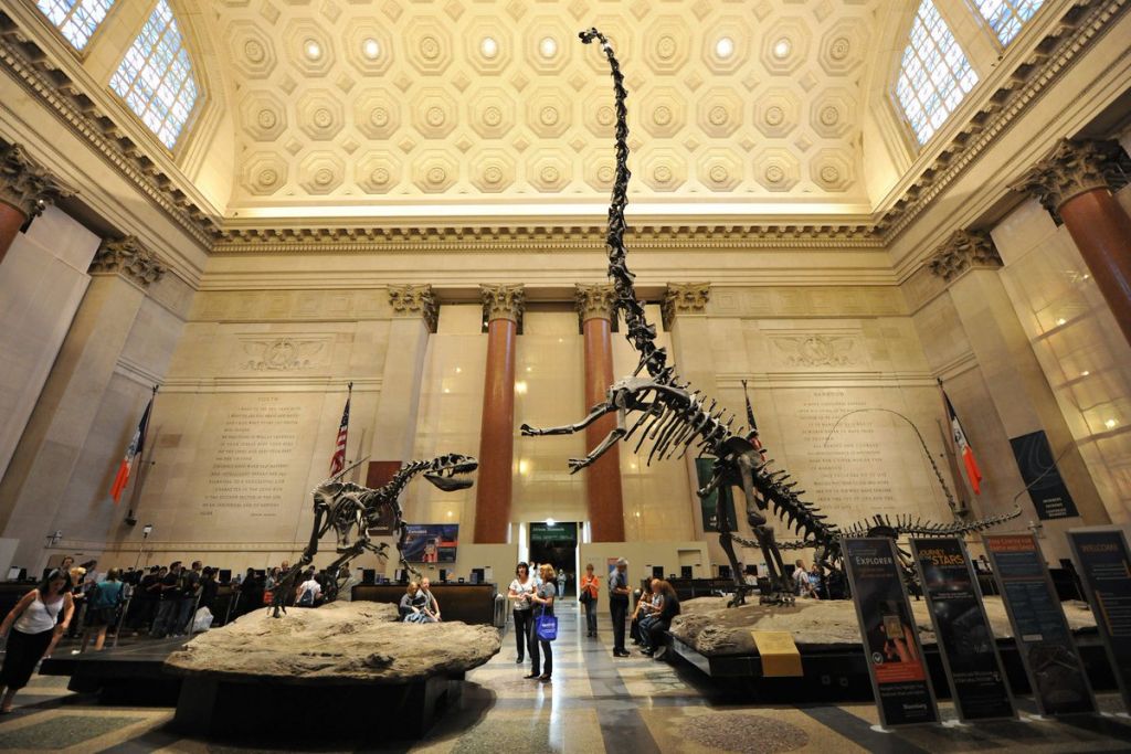 American Museum of Natural History Tickets