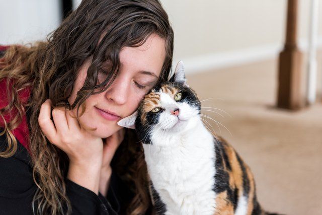 Do Cats Only Love Us Because We Feed Them?