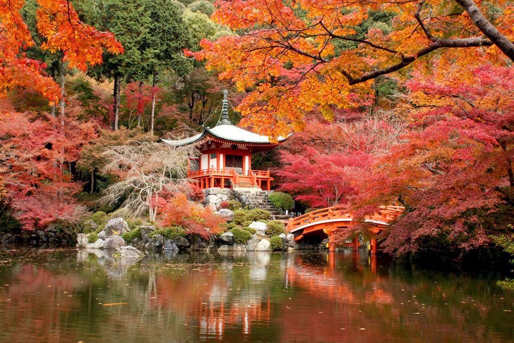 10 Cool Things To Do In Kyoto