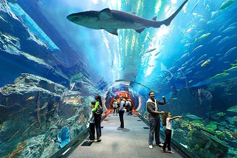 Dubai Aquarium and Burj Khalifa Combo Tickets