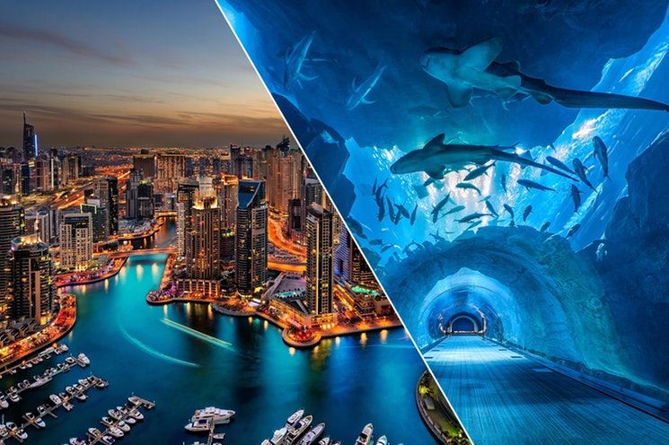 Dubai Aquarium and Burj Khalifa Combo Tickets