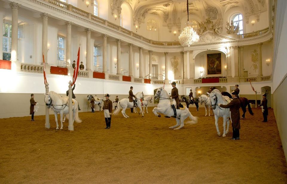 Vienna: Spanish Riding School Morning Exercise