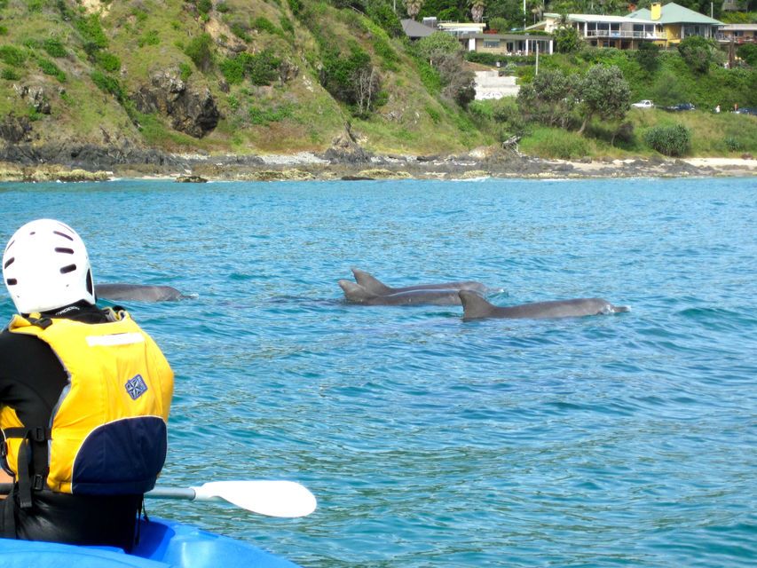 Byron Bay: Sea Kayak Tour with Dolphins & Turtles