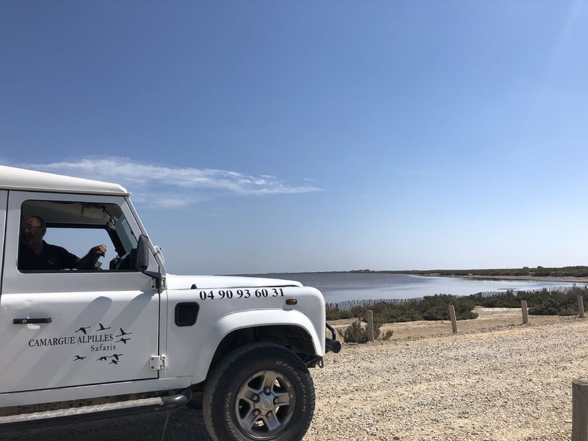 From Arles: Half-Day 4x4 Camargue Safari 