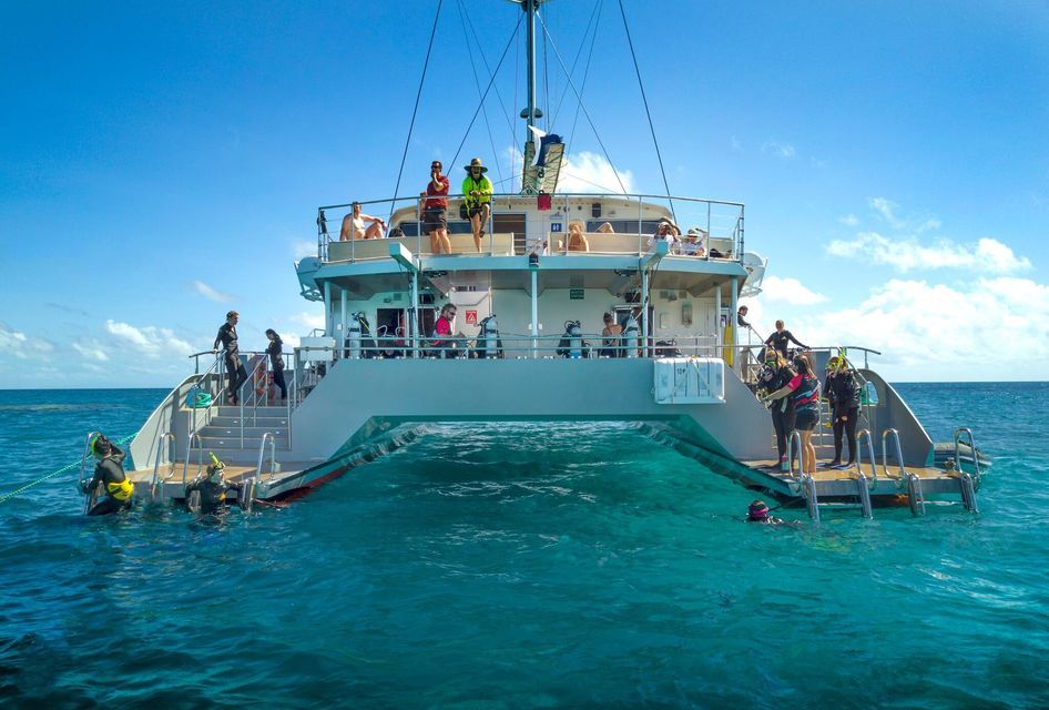 catamaran cruise great barrier reef