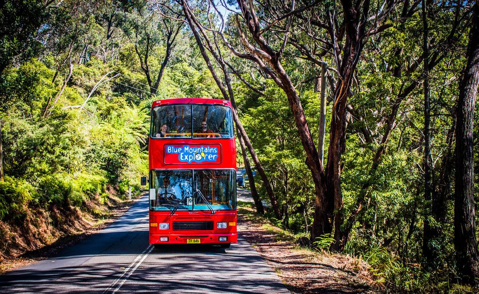 Blue Mountains Hop on Hop off & Scenic World Rides Pass