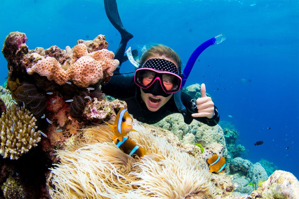 From Cairns: Luxury Great Barrier Reef Snorkeling & Diving