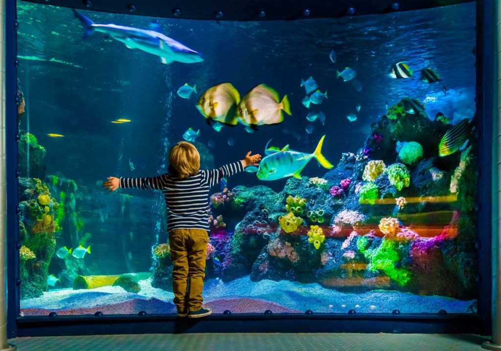 Sea Life Sydney Aquarium