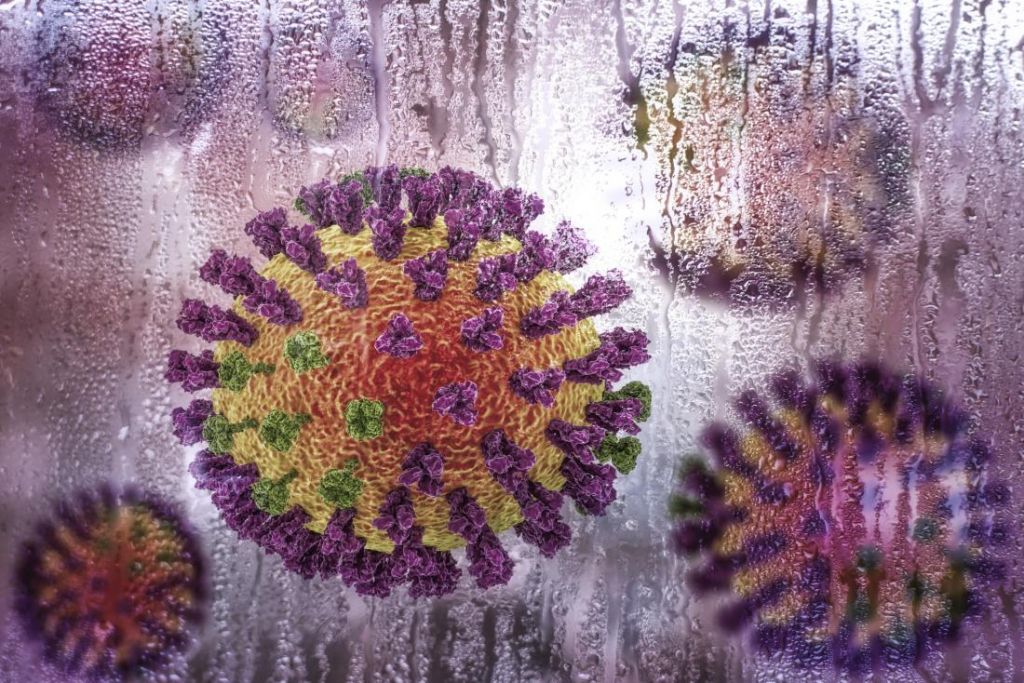 How Certain Bacteria Protect Us Against Flu